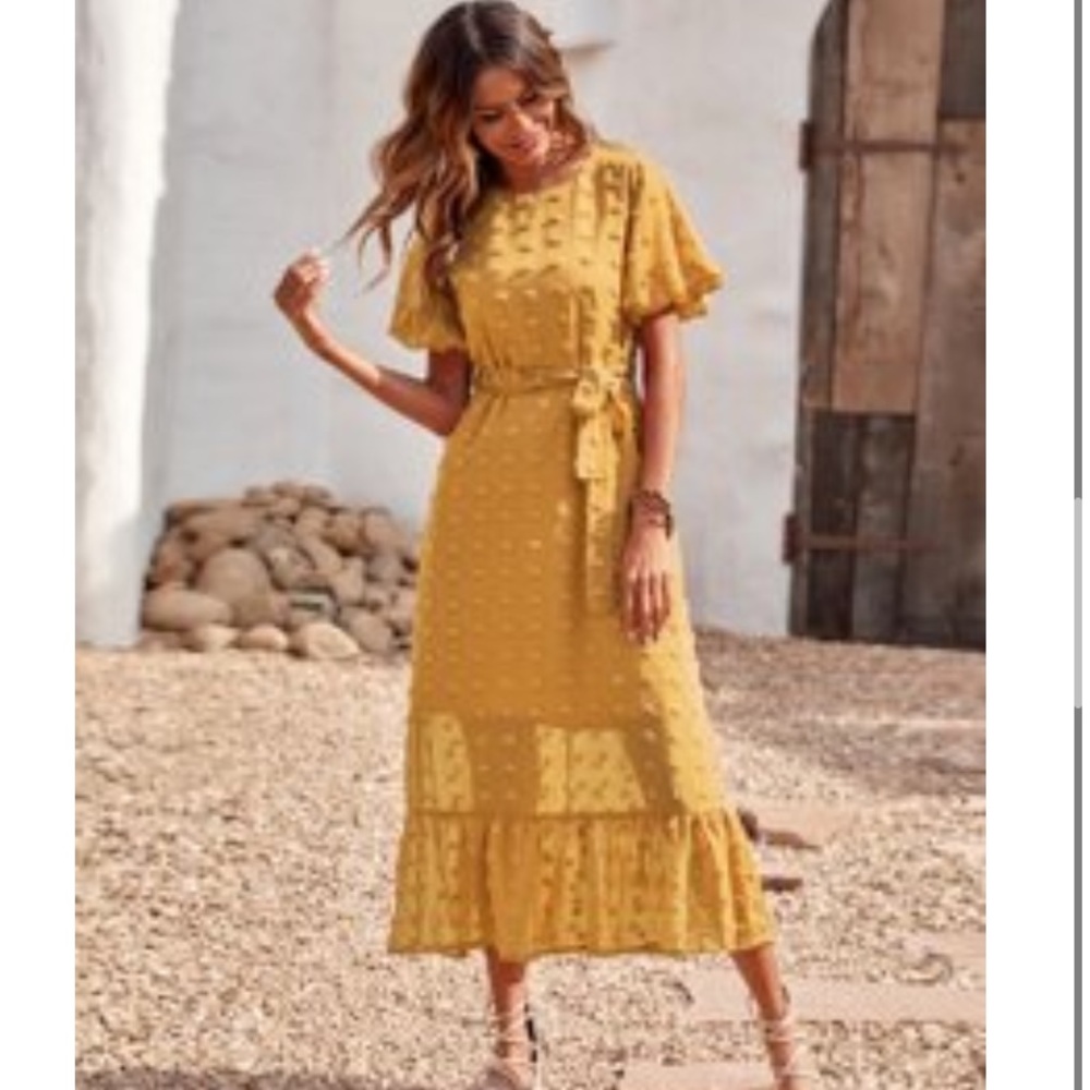 NWT Shein Belted Swiss Dot Dress